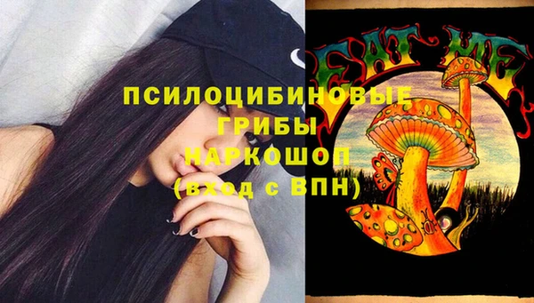 крисы Кинешма