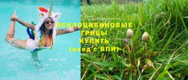крисы Кинешма
