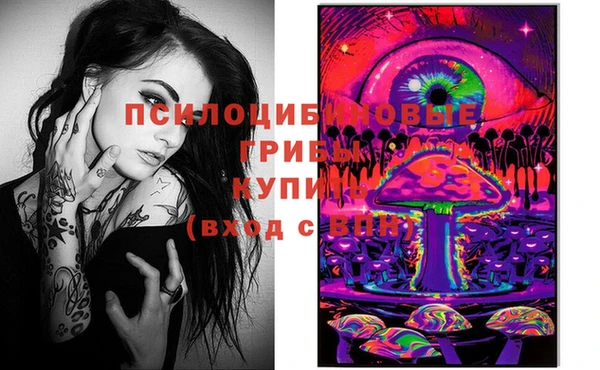 крисы Кинешма