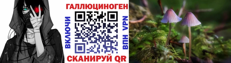 Псилоцибиновые грибы GOLDEN TEACHER  Купить где  Верхняя Салда 